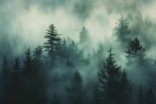 Load image into Gallery viewer, Dark Misty Pine Forest Wallpaper Mural – Moody Woodland Wall Decor for Bedroom, Living Room or Office – Modern Bold Accent Removable