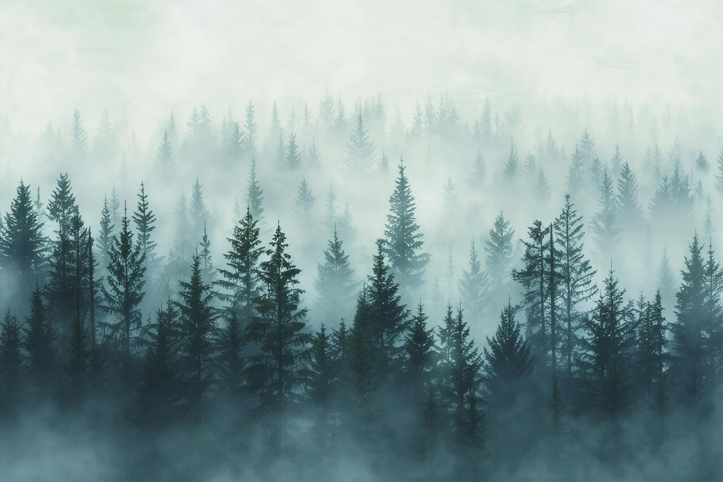 Light Misty Pine Forest Wallpaper Mural – Foggy Woodland Wall Decor for Bedroom, Living Room or Kids Room – Modern Bold Accent Removable