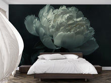 Load image into Gallery viewer, White Peony Wall Mural – Oversized Floral Wallpaper for Bedroom Accent Wall Vn1049