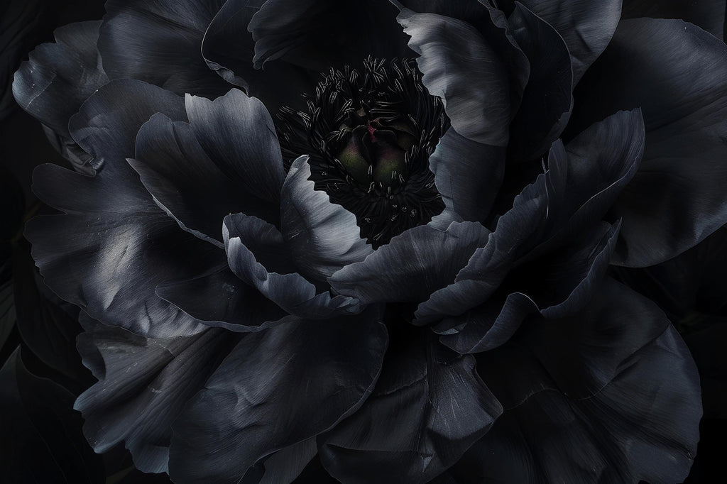 Modern Black Floral Wallpaper Mural – Bold Dark Flower Wall Decor for Bedroom or Living Room – Stylish Statement Wall Art – Elegant