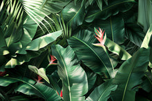 Load image into Gallery viewer, Tropical Leaf Wallpaper Mural – Jungle Banana Leaf Wall Decor for Bedroom or Living Room – Modern Bold Accent Wall Art – Removable Stylish