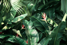 Load image into Gallery viewer, Tropical Jungle Leaf Wall Mural – Bold Green Botanical Wallpaper with Exotic Plants Vn1052