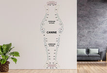 Load image into Gallery viewer, Dental Dog wall decal Dog decor Dog Tooth Dog wall art Decal Dog Lover Vet Clinic wall decal Dog Wall Bathroom Decals Stickers Vinyl 959RS