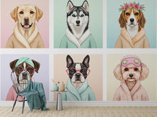 Load image into Gallery viewer, Dog Grooming salon Wallpaper Spa dog Peel and Stick Dog room Wallpaper Nursery Self Adhesive Dog Animal nursery decor Mural 960RS