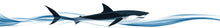Load image into Gallery viewer, Stylized Shark Boat Wrap – Custom Marine Vinyl Design for Sport Boats, Fishing Boats &amp; Cigar Boats | Ocean Predator Boat Wrap