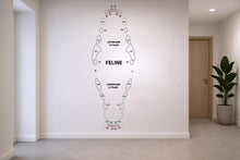 Load image into Gallery viewer, Dental Cat wall decal Feline decor Cat Tooth Cat wall art Decal Cat Lover Vet Clinic wall decal Cat Wall Bathroom Decal Stickers Vinyl 958RS