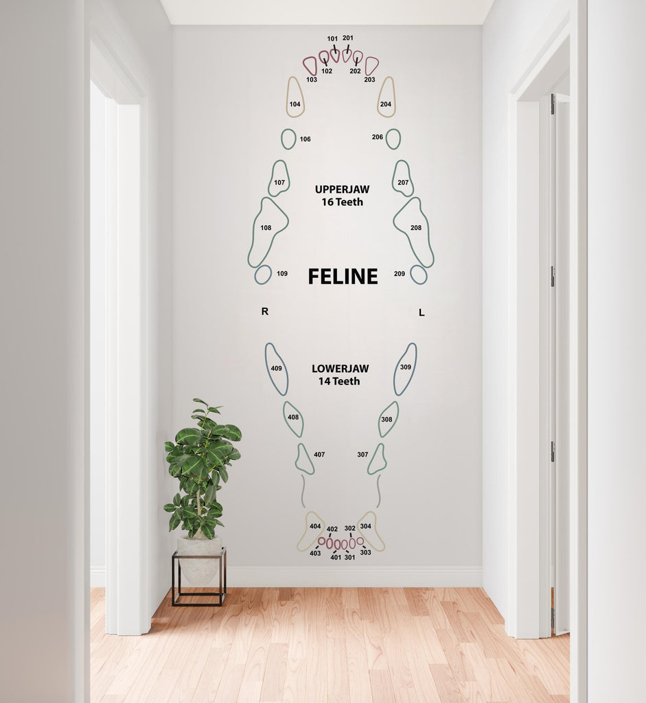 Dental Cat wall decal Feline decor Cat Tooth Cat wall art Decal Cat Lover Vet Clinic wall decal Cat Wall Bathroom Decal Stickers Vinyl 958RS