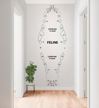 Load image into Gallery viewer, Dental Cat wall decal Feline decor Cat Tooth Cat wall art Decal Cat Lover Vet Clinic wall decal Cat Wall Bathroom Decal Stickers Vinyl 958RS