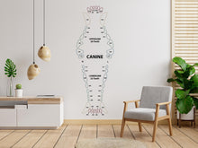 Load image into Gallery viewer, Dental Dog wall decal Dog decor Dog Tooth Dog wall art Decal Dog Lover Vet Clinic wall decal Dog Wall Bathroom Decals Stickers Vinyl 959RS