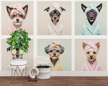Load image into Gallery viewer, Dog Grooming salon Wallpaper Spa dog Peel and Stick Dog room Wallpaper Nursery Self Adhesive Dog Animal nursery decor Mural 961RS