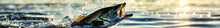 Load image into Gallery viewer, Bass Fishing Boat Wrap – Realistic Full-Color Marine Vinyl Design for Fishing Boats, Bass Boats &amp; Sport Boats | Custom Angler Boat Wrap