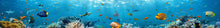 Load image into Gallery viewer, Tropical Reef Boat Wrap – Vibrant Full-Color Marine Vinyl Design with Coral &amp; Fish for Yachts, Fishing Boats Sport Boats | Ocean Theme