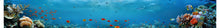 Load image into Gallery viewer, Coral Reef Paradise Boat Wrap – Full-Color Tropical Marine Vinyl for Yachts, Fishing Boats &amp; Sport Cruisers | Underwater Ocean Scene Boat