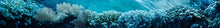 Load image into Gallery viewer, Coral Garden Boat Wrap – Realistic Underwater Reef Vinyl Wrap – Marine Grade Boat Decal – Custom Full Side Wrap – Ocean Coral Design