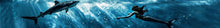 Load image into Gallery viewer, Shark and Mermaid Boat Wrap – Underwater Diver &amp; Shark Ocean Scene Marine Vinyl | Realistic Ocean Graphic for Offshore Boats