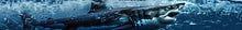 Load image into Gallery viewer, Great White Shark Boat Wrap – Full-Color Marine Vinyl Design for Sport Boats, Cigar Boats &amp; Offshore Racers | Realistic Ocean Predator Boat