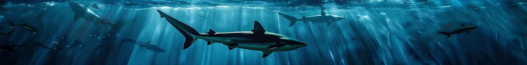 Deep Blue Shark Boat Wrap – Realistic Marine Vinyl Design for Sport Boats, Cigar Boats & Offshore Racers | Custom Ocean Predator Boat Wrap