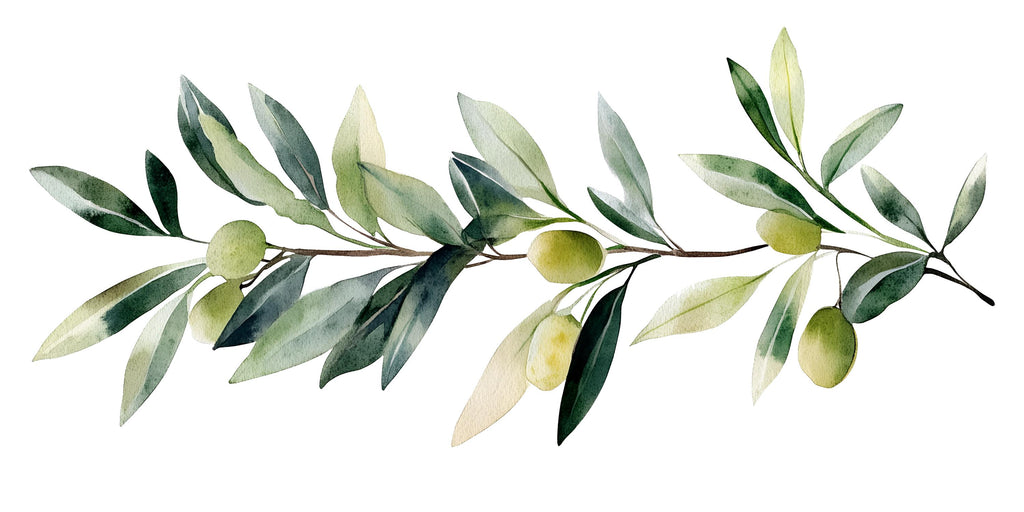 Olive Branch Wall Decal • Watercolor Botanical Sticker • Mediterranean Peel & Stick Mural • Kitchen Bedroom Living Room Decor