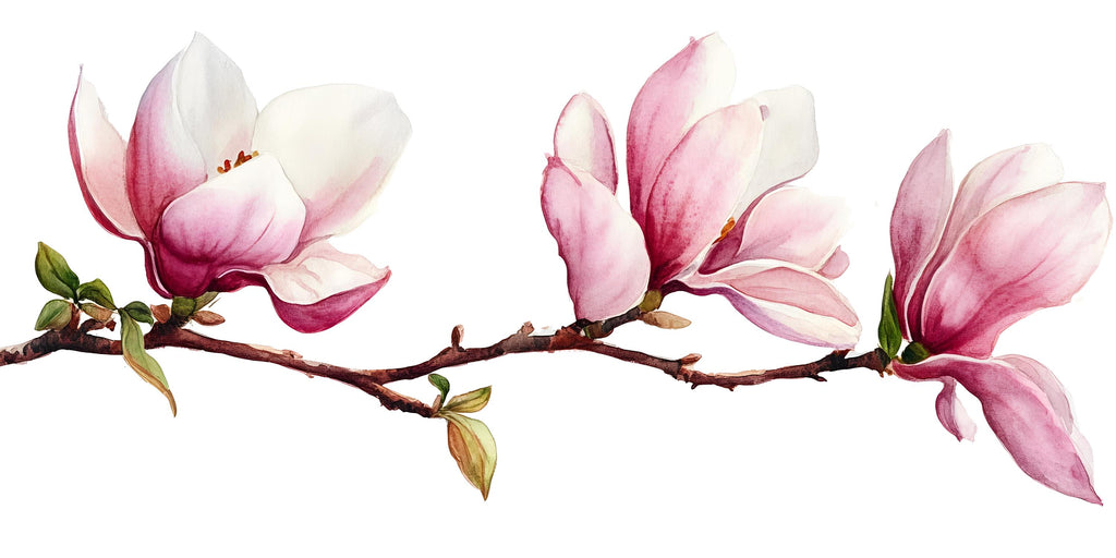 Magnolia Wall Decal • Large Watercolor Flower Branch Mural • Pink Floral Peel & Stick Wall Art • Removable Bedroom Sticker • Botanical Decor