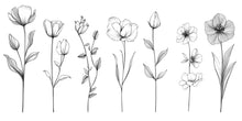 Load image into Gallery viewer, Black and White Botanical Floral Wall Decal • Minimalist Line Art Flowers Sticker • Modern Large Wall Decor for Bedroom, Nursery or Living