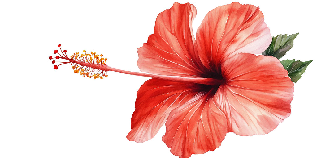 Giant Red Hibiscus Wall Decal • Tropical Flower Mural • Large Peel & Stick Wall Sticker • Botanical Bedroom Decor • Island Floral Wall Art