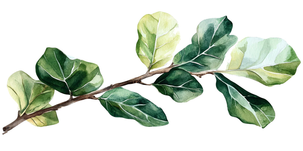 Fiddle Leaf Fig Wall Decal • Large Green Leaf Branch Sticker • Botanical Wall Art • Removable Peel & Stick Mural • Nature Bedroom Decor