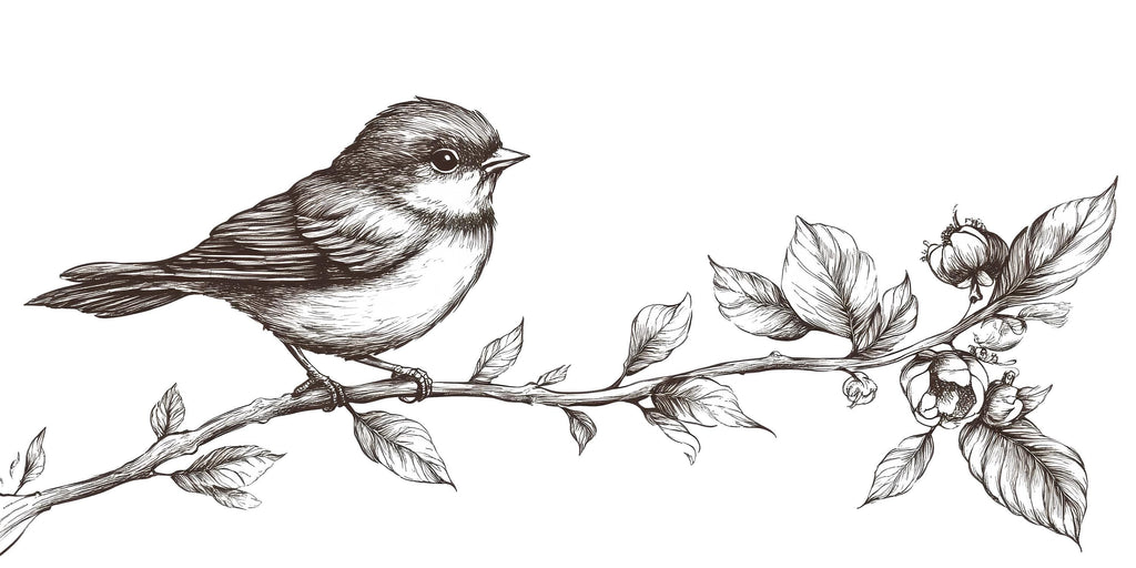 Bird On Branch Wall Decal, Nursery Bird Sticker, Nature Kids Room Decor, Botanical Branch Mural, Vintage Line Art Wall Sticker