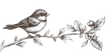 Load image into Gallery viewer, Bird On Branch Wall Decal, Nursery Bird Sticker, Nature Kids Room Decor, Botanical Branch Mural, Vintage Line Art Wall Sticker