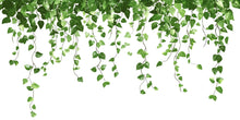 Load image into Gallery viewer, Hanging Ivy Wall Decal – Greenery Vines Above Bed Bedroom Wall Mural 067mv