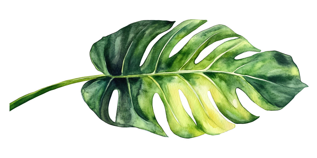 Large Monstera Leaf Wall Decal • Watercolor Jungle Plant Sticker • Botanical Wall Art Mural • Peel & Stick Bedroom Decor • Removable Wall