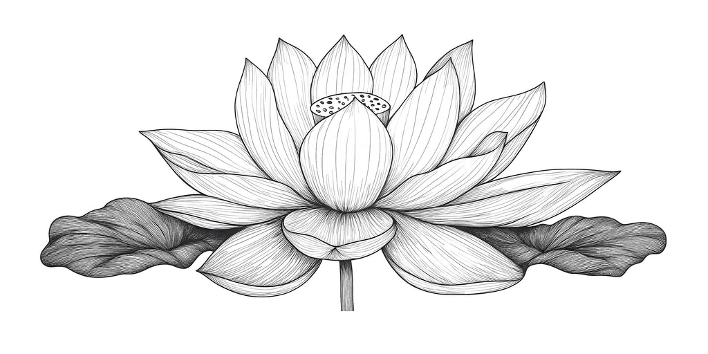 Large Lotus Flower Wall Decal • Minimalist Line Art Floral Mural • Black and White Botanical Wall Sticker for Bedroom, Yoga or Meditation