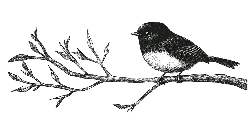 Bird Wall Decal • Black And White Bird On Branch Sticker • Nature Nursery Wall Art • Kids Room Woodland Mural • Large Removable Animal