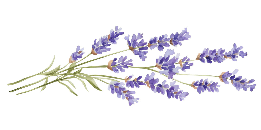 Lavender Wall Decal, Purple Floral Sticker, Botanical Wall Mural, Watercolor Flower Decor, Bedroom Accent Wall Art, Peel and Stick Floral