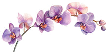 Load image into Gallery viewer, Orchid Wall Decal for Bedroom – Watercolor Purple Flower Branch Mural Above Bed, Large Floral Peel and Stick Wall Art 074mv
