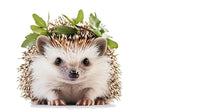 Load image into Gallery viewer, Adorable Hedgehog Wall Decal Nursery Sticker | Cute Woodland Animal Mural for Kids Room | Peel &amp; Stick Removable Vinyl | Baby Nursery Wall