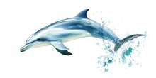 Load image into Gallery viewer, Watercolor Dolphin Wall Decal for Kids Room | Ocean Nursery Wall Sticker | Peel &amp; Stick Sea Animal Mural | Baby Room Decor | Playroom