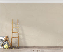 Load image into Gallery viewer, Beige Concrete Wallpaper Mural, Warm Sand Polished Concrete Wall, Minimalist Textured Mural in Taupe Greige, Modern Luxury Wall Decor 207DE