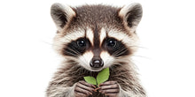 Load image into Gallery viewer, Realistic Baby Raccoon Wall Decal Nursery Sticker | Cute Woodland Animal Mural for Kids Room | Peel &amp; Stick Removable Vinyl Nursery Wall