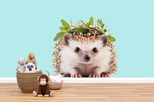 Load image into Gallery viewer, Adorable Hedgehog Wall Decal Nursery Sticker | Cute Woodland Animal Mural for Kids Room | Peel &amp; Stick Removable Vinyl | Baby Nursery Wall