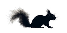 Load image into Gallery viewer, Black Squirrel Wall Decal for Nursery | Woodland Animal Silhouette Sticker | Kids Room Decor | Peel &amp; Stick Removable Mural | Modern Forest