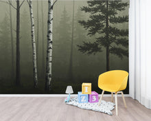 Load image into Gallery viewer, Moody Forest Wallpaper Mural, Birch and Pine Trees in Fog, Dark Olive Woodland Wall Art, Quiet Luxury Nature Decor 220DE