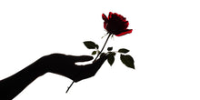 Load image into Gallery viewer, Black Hand Red Rose Wall Decal, Dark Romantic Wall Art Sticker, Gothic Floral Wall Decor, Surreal Rose Wall Decal, Peel And Stick Art