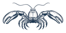 Load image into Gallery viewer, Vintage Lobster Wall Decal Nautical Lobster Illustration Wall Sticker Seafood Restaurant Cafe Kitchen Coastal Wall Art