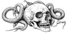 Load image into Gallery viewer, Skull And Snake Wall Decal Gothic Skull Wall Art Serpent Skull Sticker Dark Office Decor Peel And Stick Wall Decal