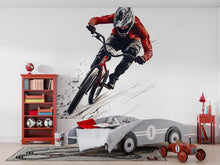 Load image into Gallery viewer, BMX Rider Wall Art, Extreme Sports Decor, Action Bike Art 445mv