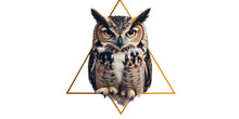 Load image into Gallery viewer, Geometric Owl Wall Decal Modern Animal Wall Art Peel And Stick Owl Wall Sticker Living Room Bedroom Office Decor