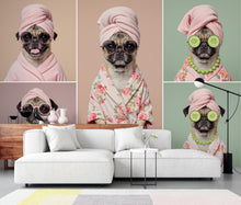 Load image into Gallery viewer, Grooming Salon Wallpaper | Dog Pug SPA Wall Mural