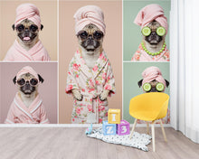 Load image into Gallery viewer, Grooming Salon Wallpaper | Dog Pug SPA Wall Mural