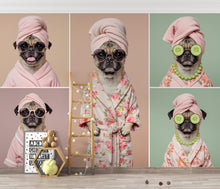 Load image into Gallery viewer, Grooming Salon Wallpaper | Dog Pug SPA Wall Mural