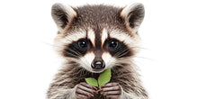 Load image into Gallery viewer, Cute Raccoon Wall Art, Raccoon Nursery Decor, Woodland Animal Art 172mv